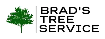 Brads tree service
